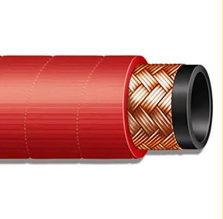 Steam Hose